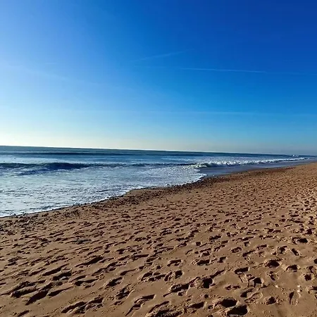 L'emeraude, Les Pieds Dans L'eau דירה *